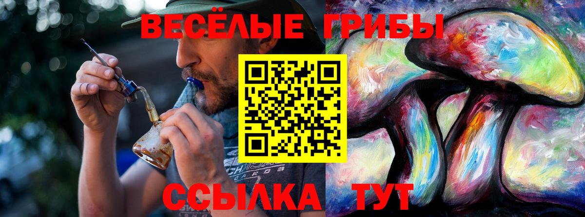 Псилоцибиновые грибы Psilocybine cubensis  Галлюциногенные грибы Psilocybine cubensis  где купить наркоту  Вход с VPN  Когалым 